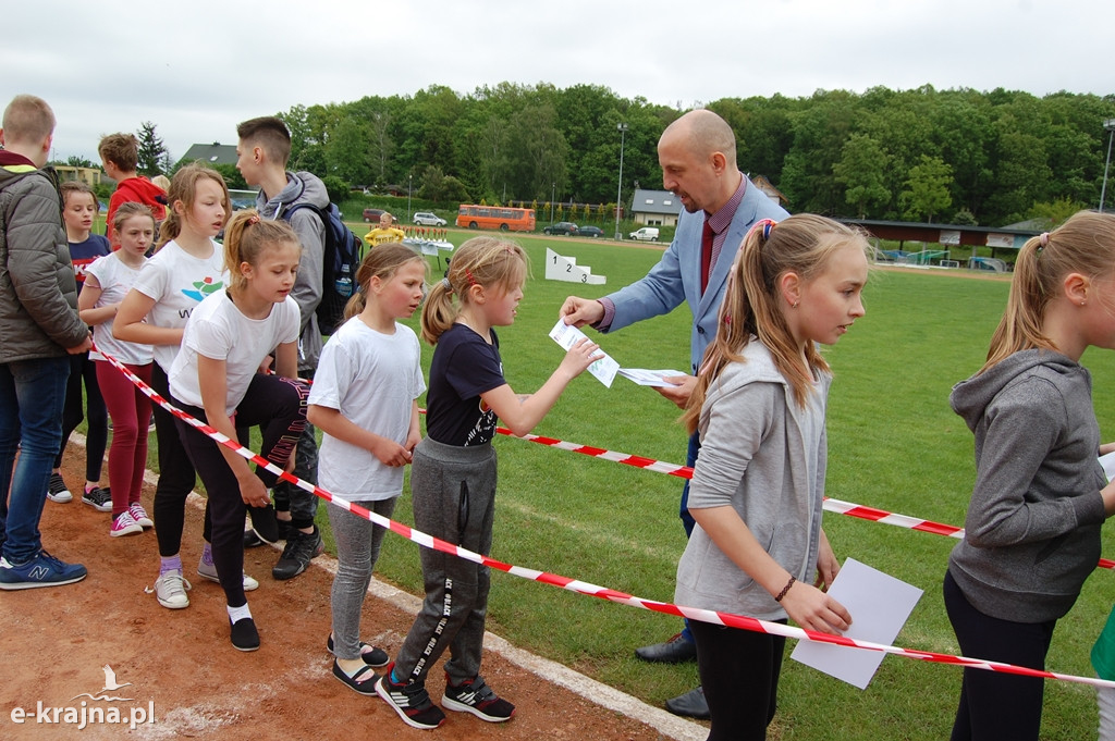 XXXVII Bieg Wiosny - Więcbork 2019
