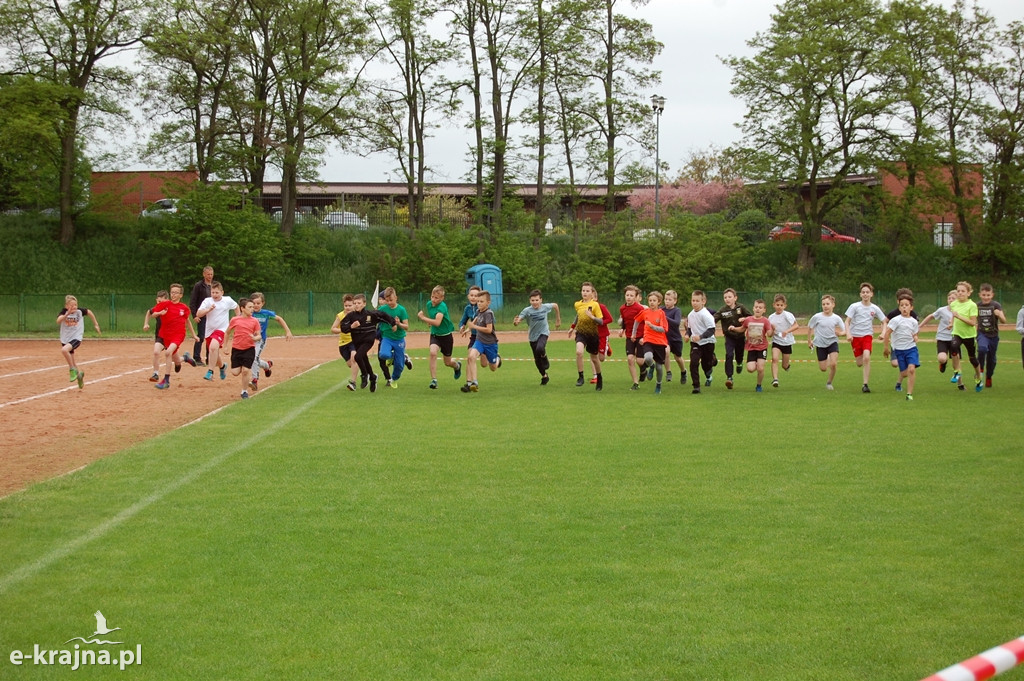 XXXVII Bieg Wiosny - Więcbork 2019