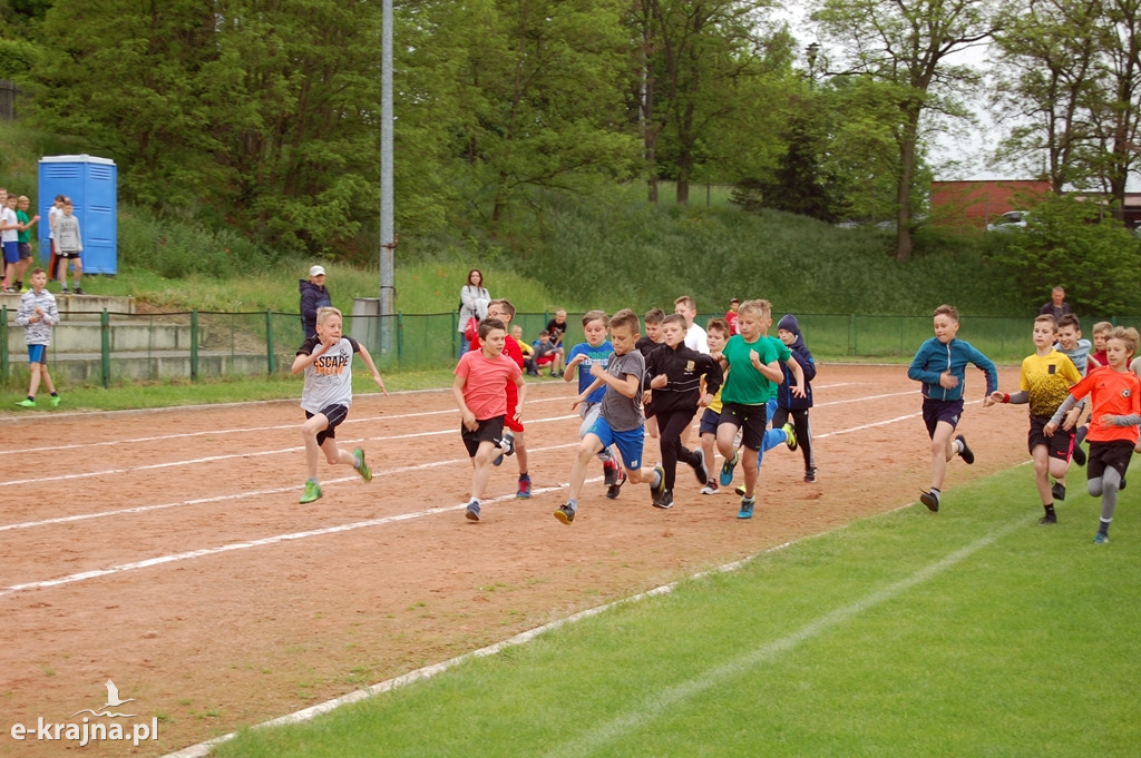 XXXVII Bieg Wiosny - Więcbork 2019