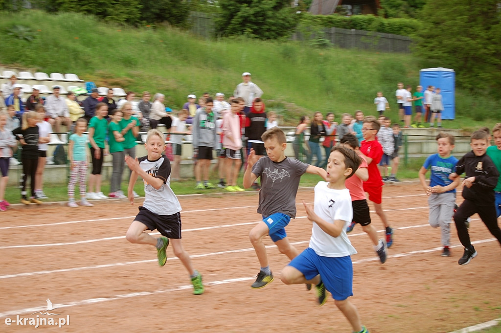 XXXVII Bieg Wiosny - Więcbork 2019