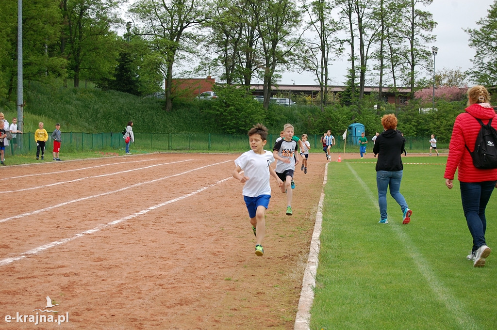 XXXVII Bieg Wiosny - Więcbork 2019