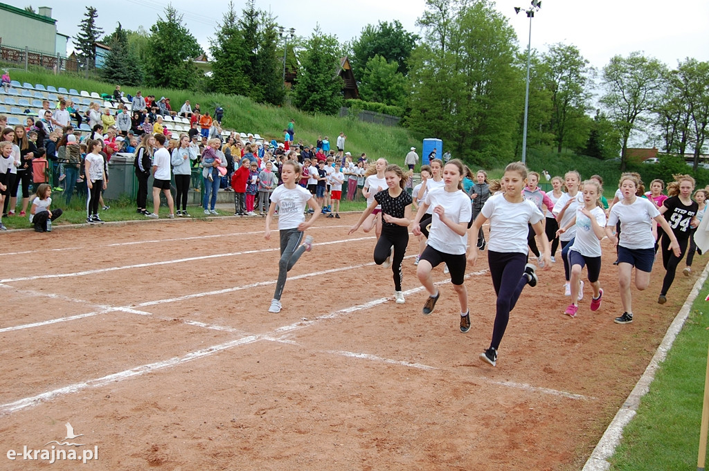 XXXVII Bieg Wiosny - Więcbork 2019