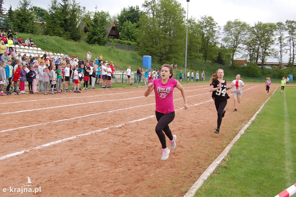 XXXVII Bieg Wiosny - Więcbork 2019