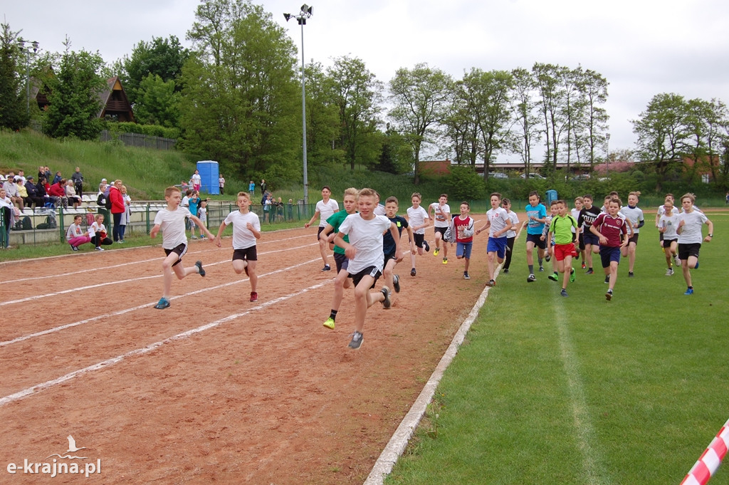 XXXVII Bieg Wiosny - Więcbork 2019