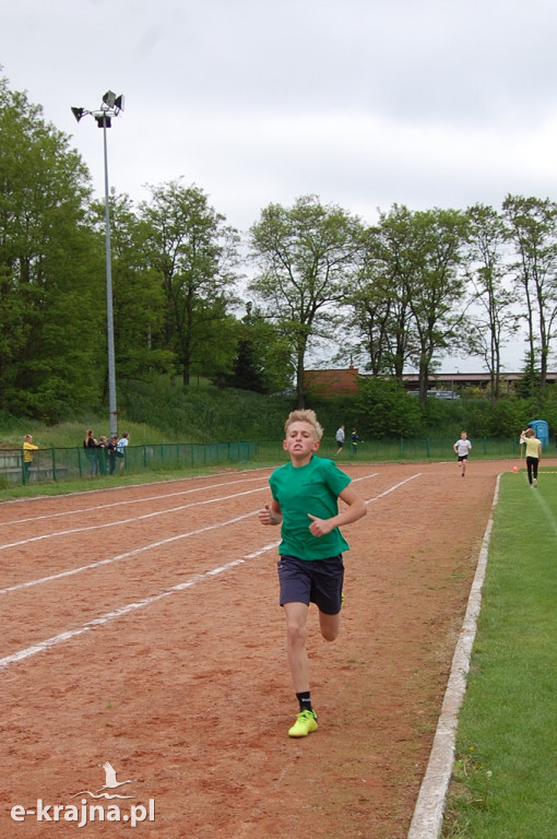 XXXVII Bieg Wiosny - Więcbork 2019