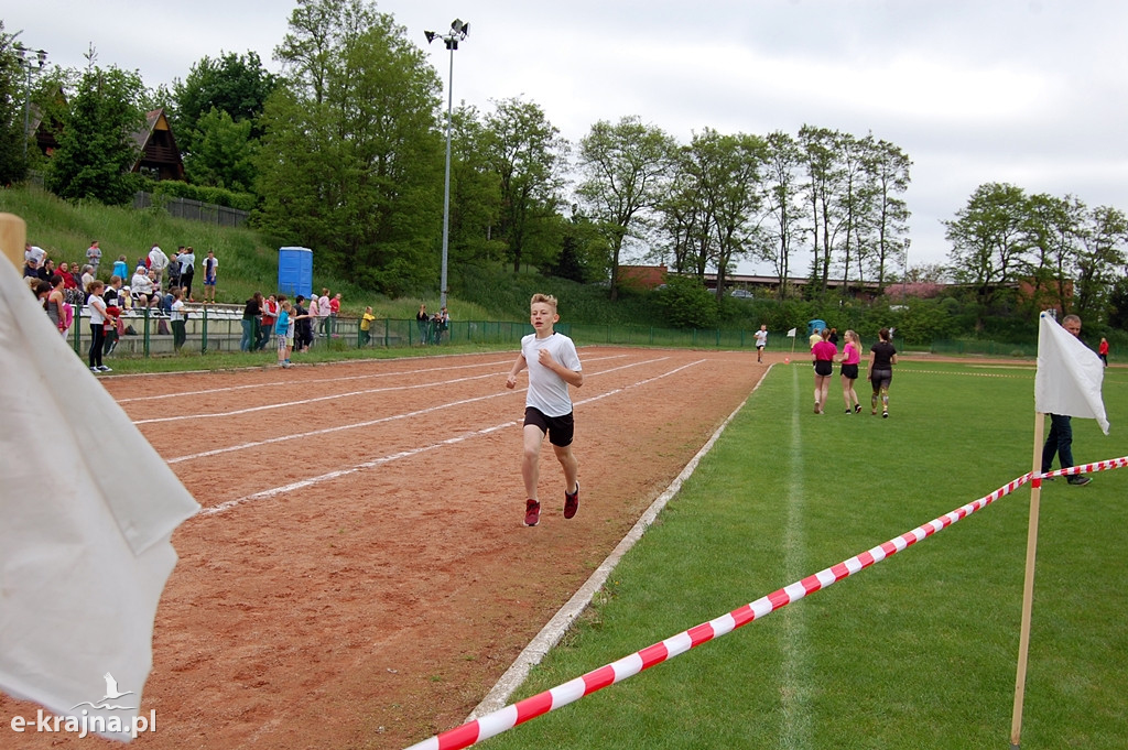 XXXVII Bieg Wiosny - Więcbork 2019