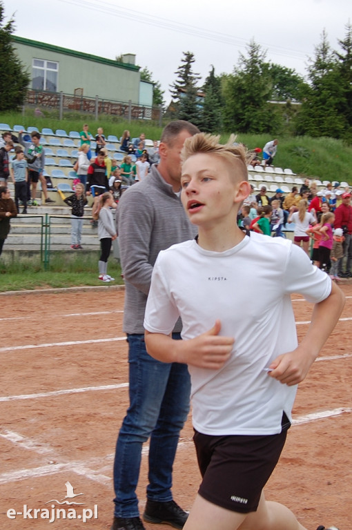 XXXVII Bieg Wiosny - Więcbork 2019
