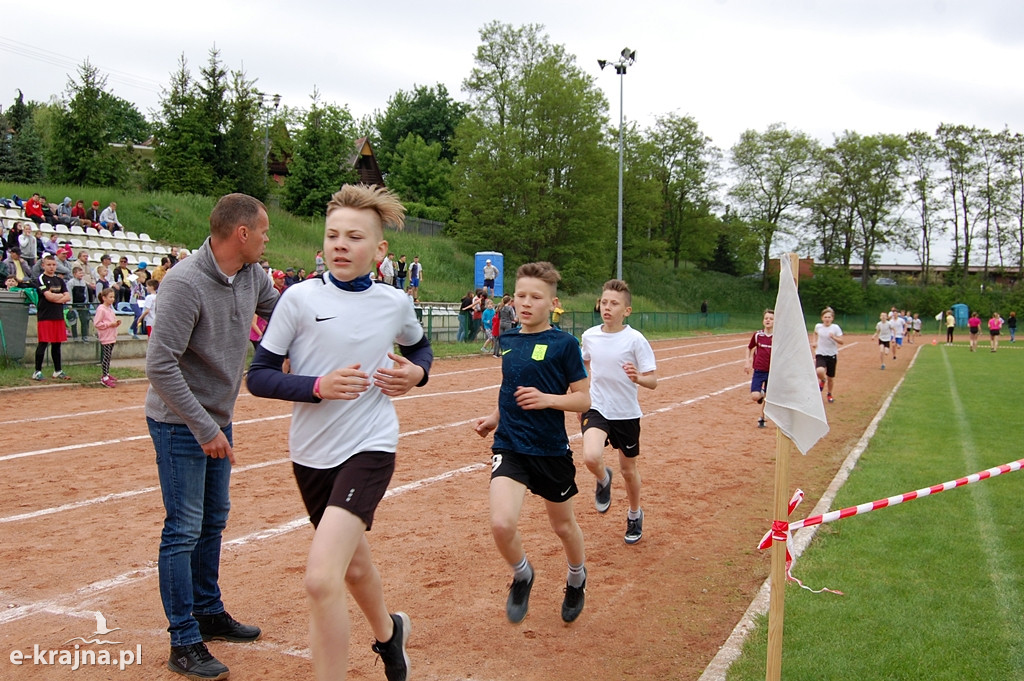 XXXVII Bieg Wiosny - Więcbork 2019