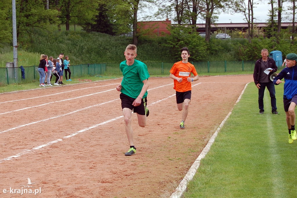 XXXVII Bieg Wiosny - Więcbork 2019