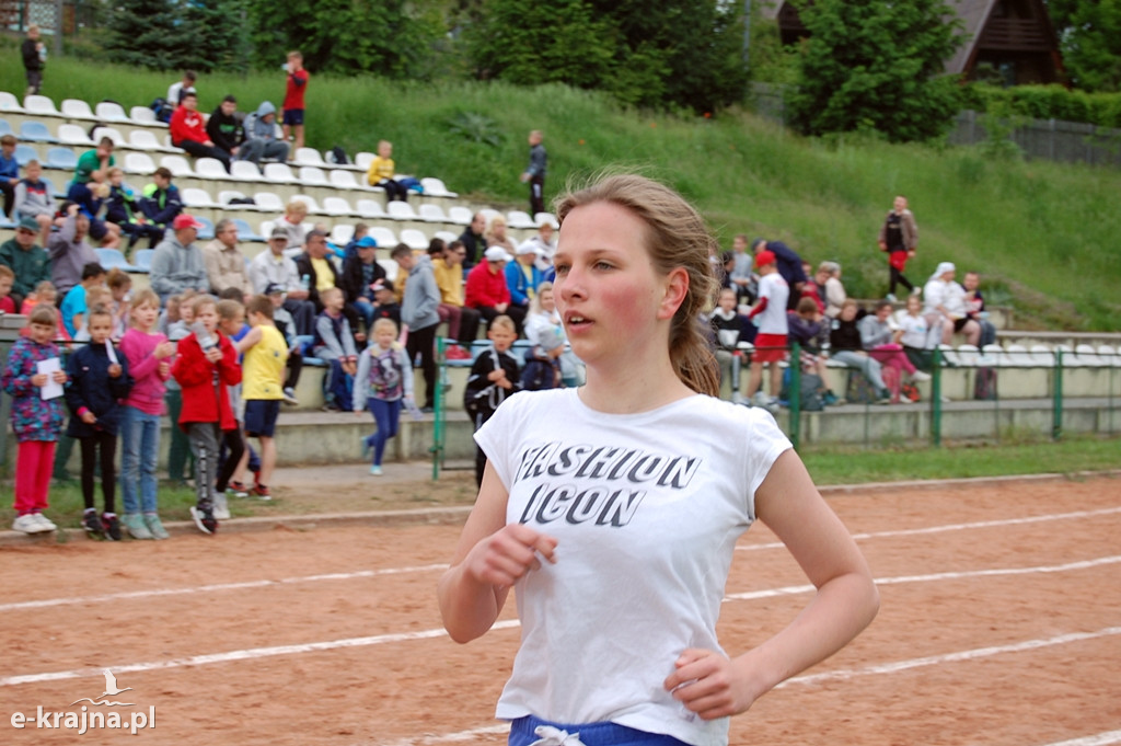 XXXVII Bieg Wiosny - Więcbork 2019