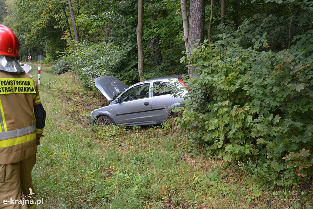 Corsa wypadła z drogi