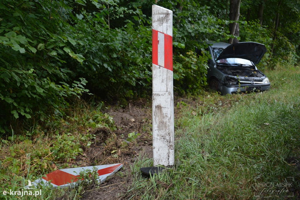 Corsa wypadła z drogi