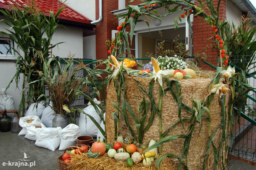 Dożynki Powiatowo-Gminne w Sośnie