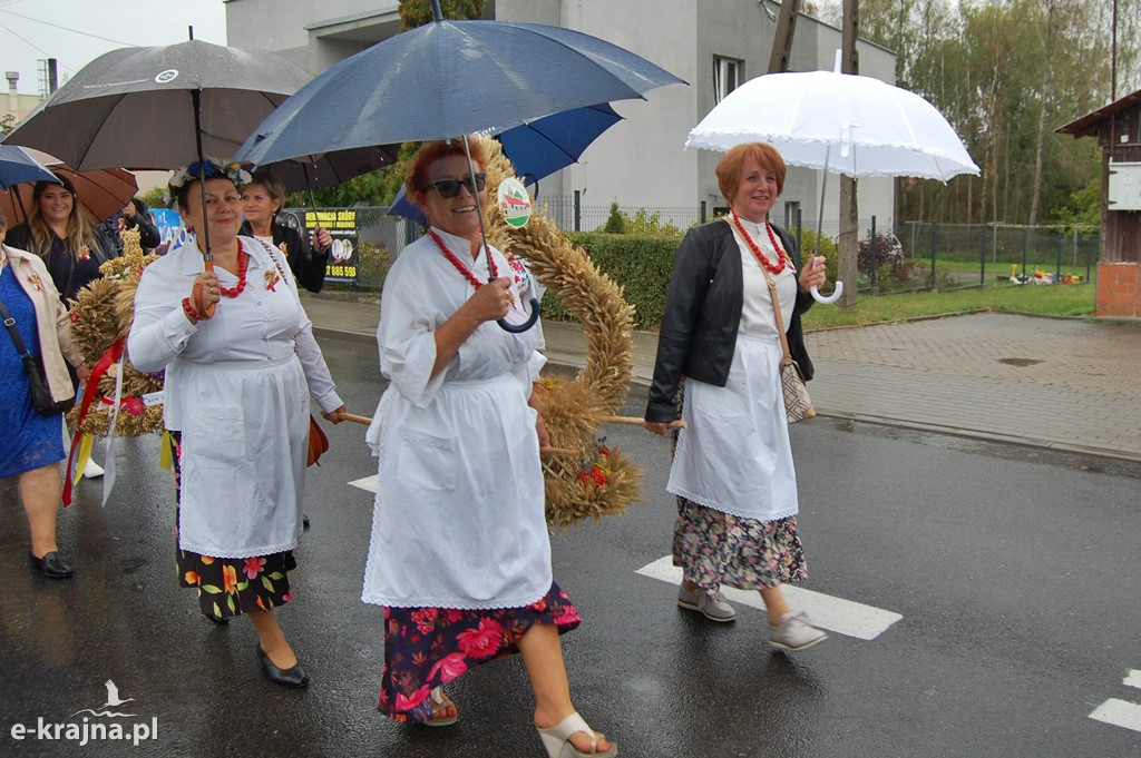 Dożynki Powiatowo-Gminne w Sośnie