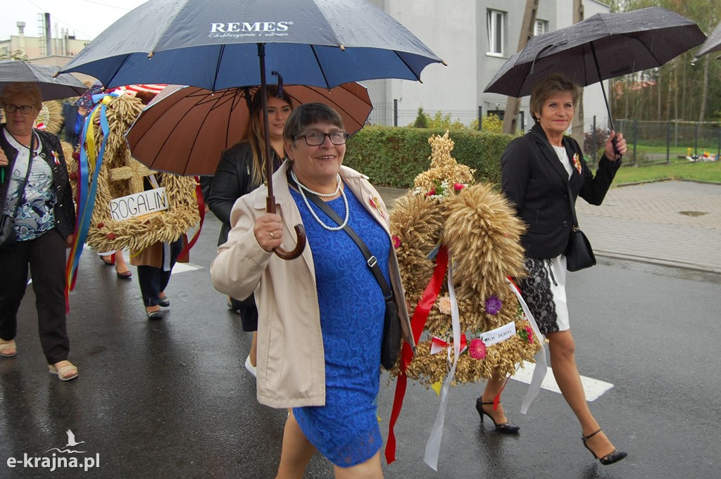 Dożynki Powiatowo-Gminne w Sośnie