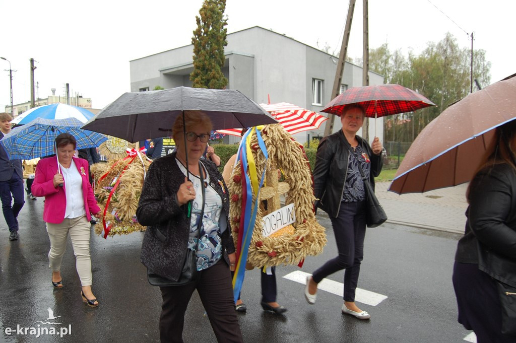 Dożynki Powiatowo-Gminne w Sośnie