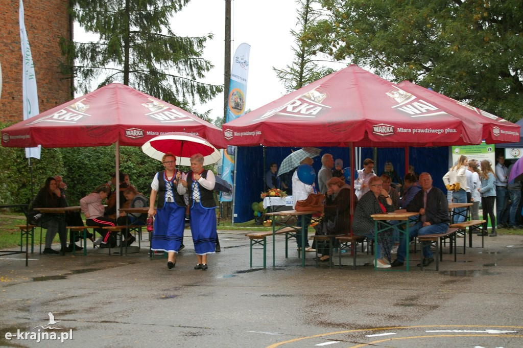 Dożynki Powiatowo-Gminne w Sośnie
