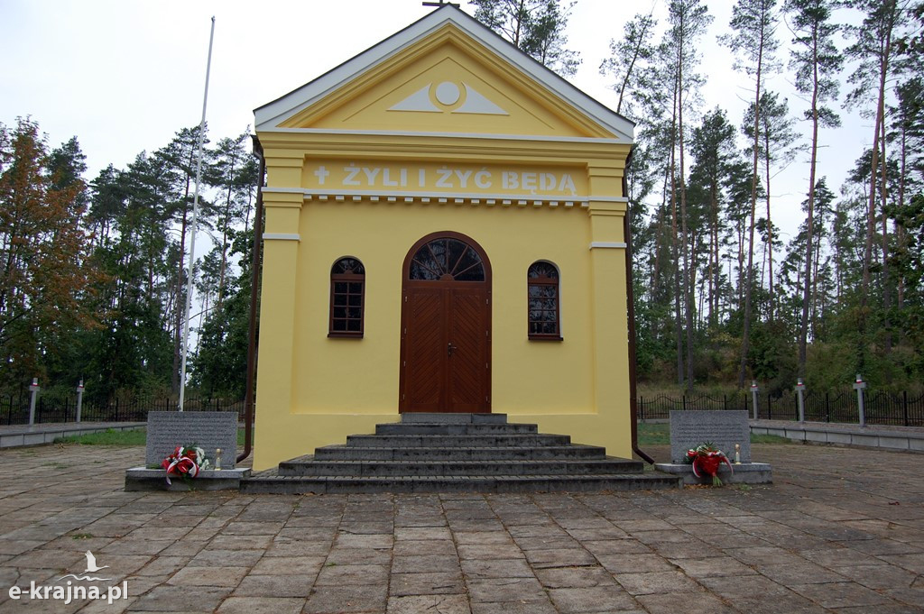 VIII Bieg Pamięci Karolewo - Więcbork