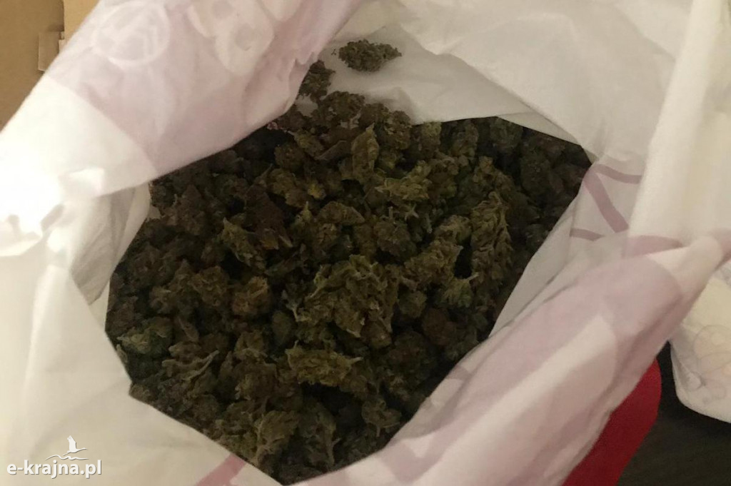 Para z bydgoskiego Okola wpadła z narkotykami