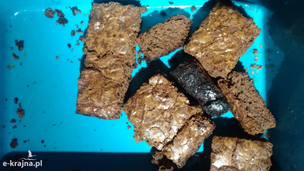 Para z bydgoskiego Okola wpadła z narkotykami