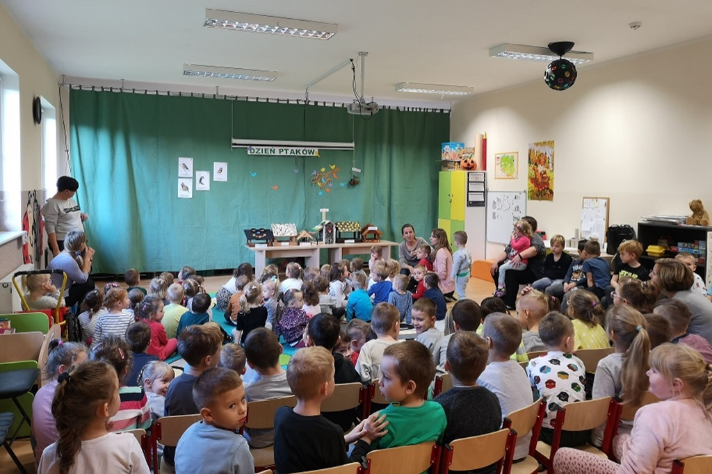 Dzień ptaków