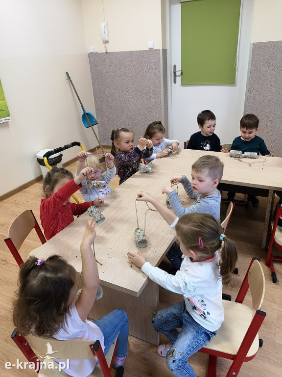 Dzień ptaków