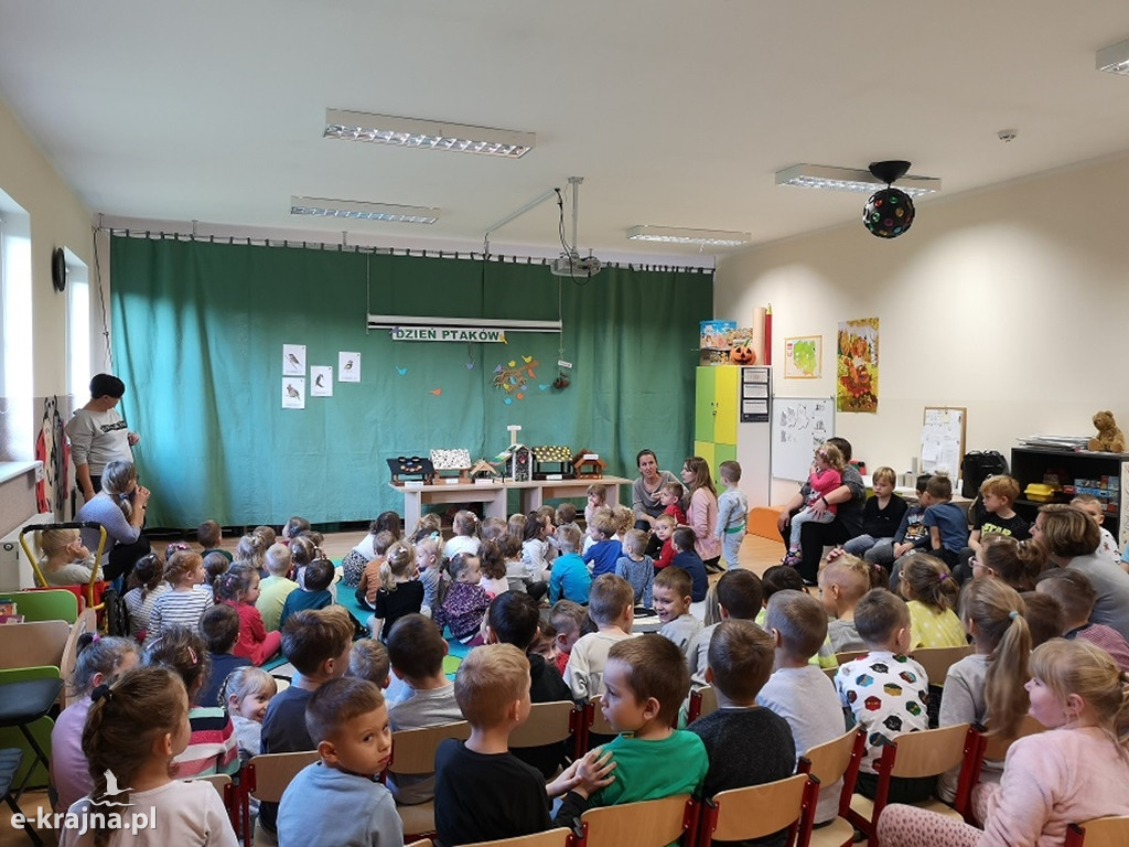 Dzień ptaków