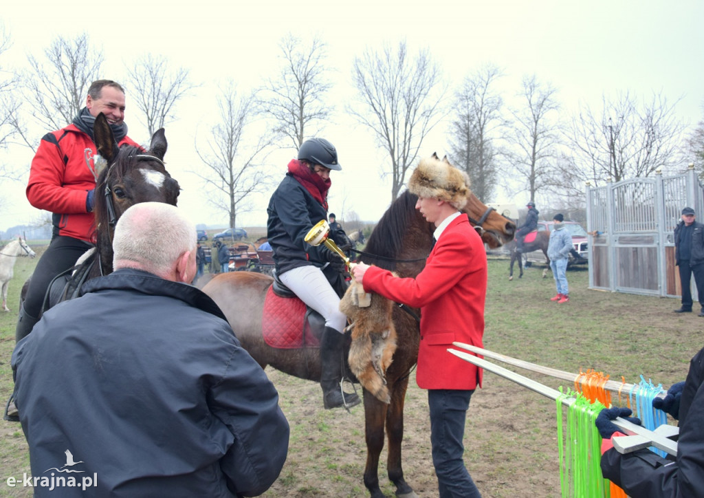 Lis stracił kitę