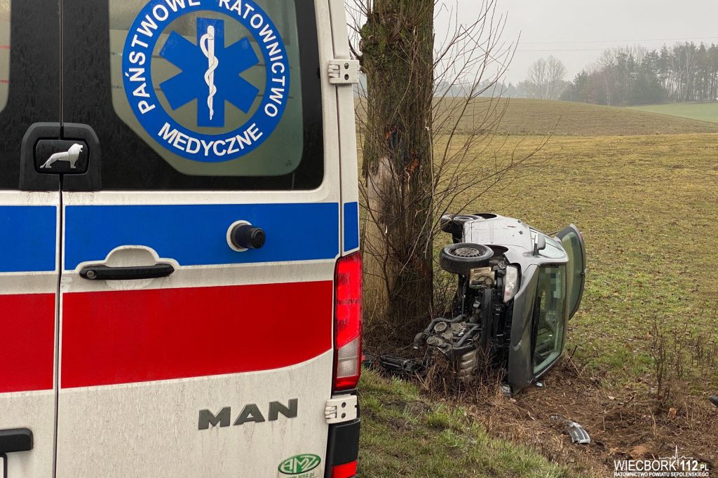 Wypadł z drogi i uderzył w drzewo
