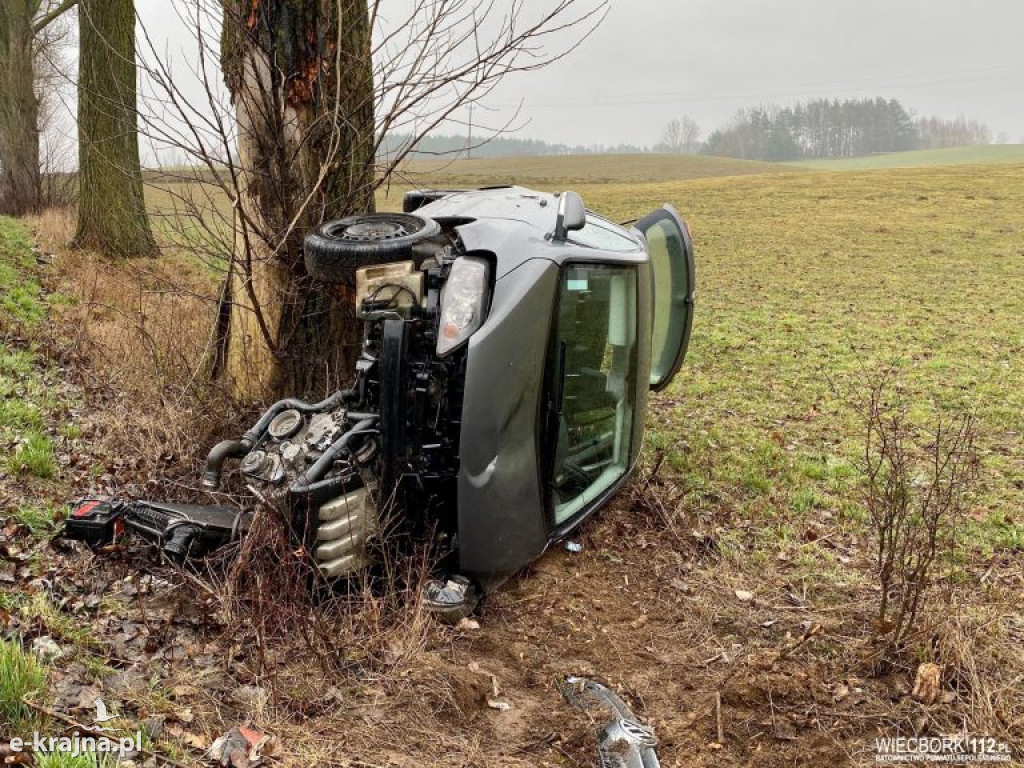 Wypadł z drogi i uderzył w drzewo