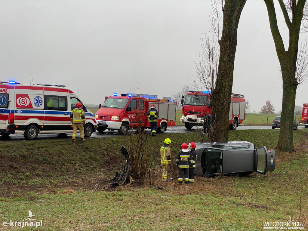 Wypadł z drogi i uderzył w drzewo
