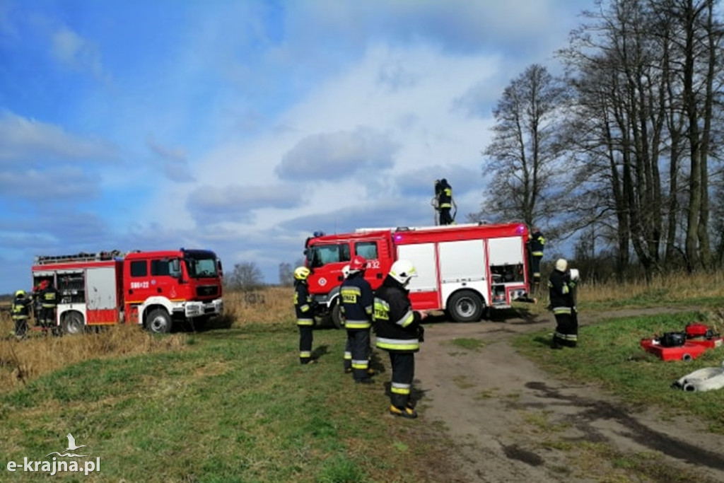 Rozległy pożar trzcinowiska w Kruszynie Krajeńskim. Ponad 11 godzin trwała akcja strażaków