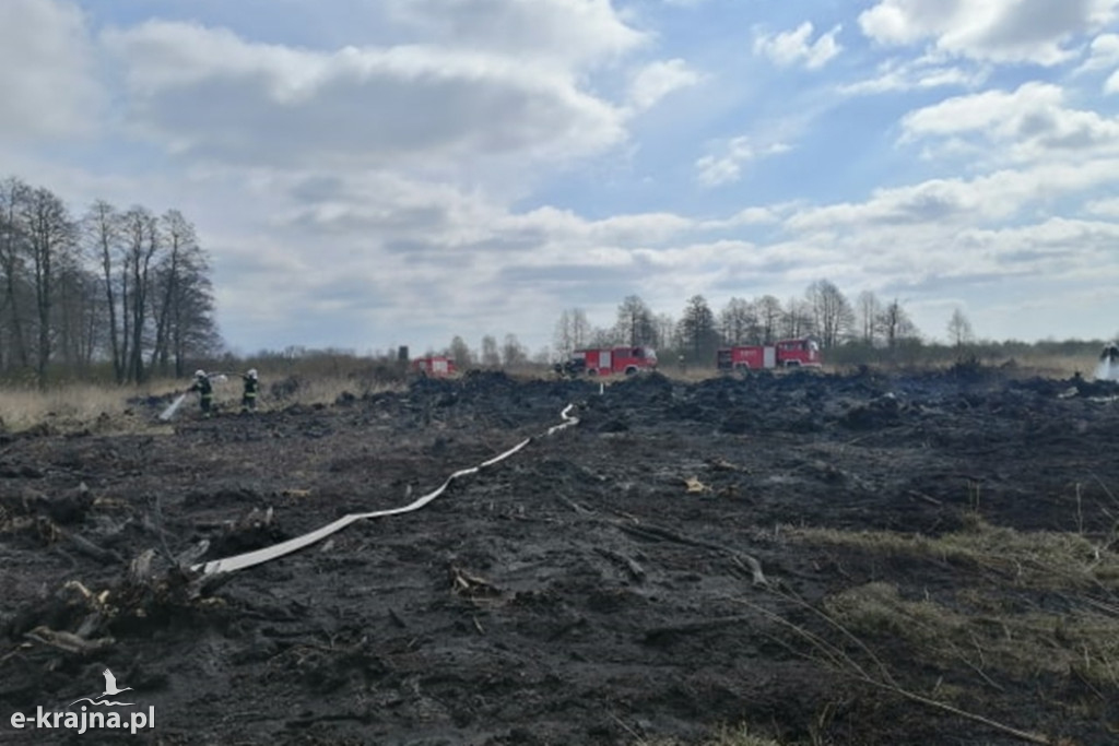 Rozległy pożar trzcinowiska w Kruszynie Krajeńskim. Ponad 11 godzin trwała akcja strażaków