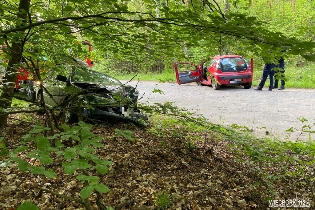 Czołowe zderzenie w Radońsku. Dwie osoby poszkodowane