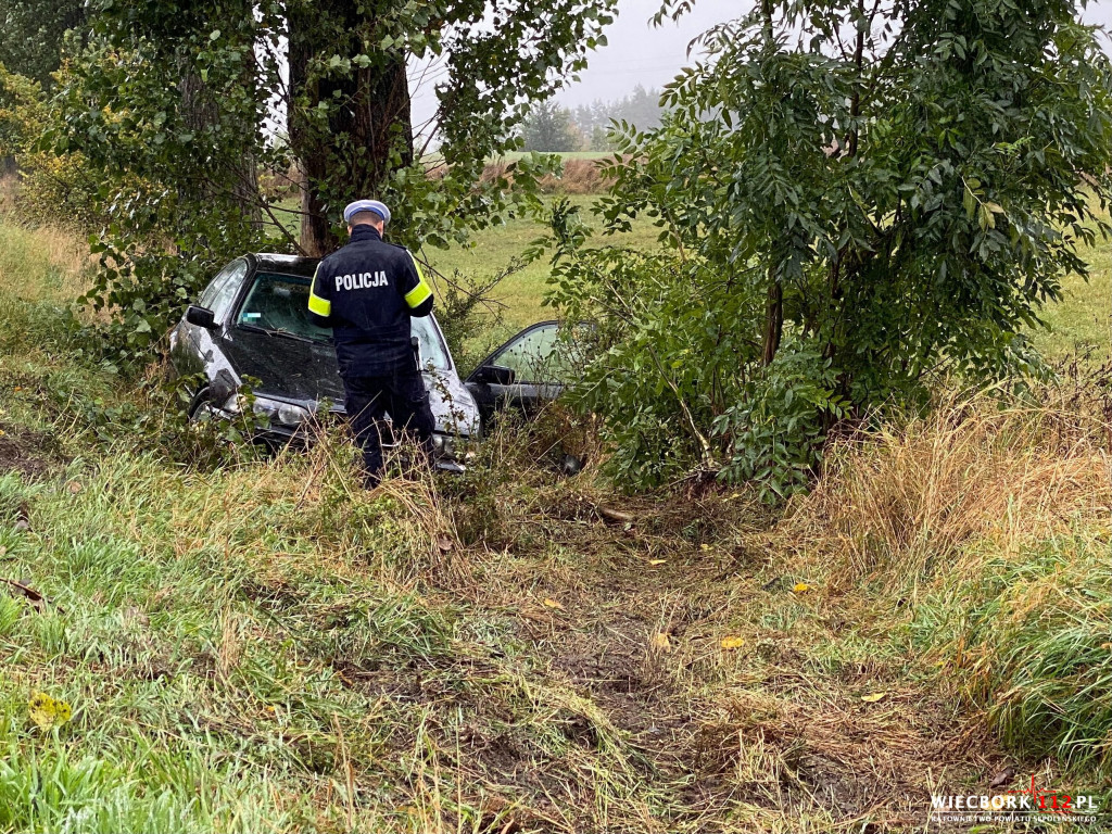 BMW wypadło z drogi i uderzyło w drzewo