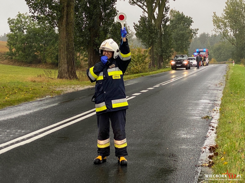 BMW wypadło z drogi i uderzyło w drzewo