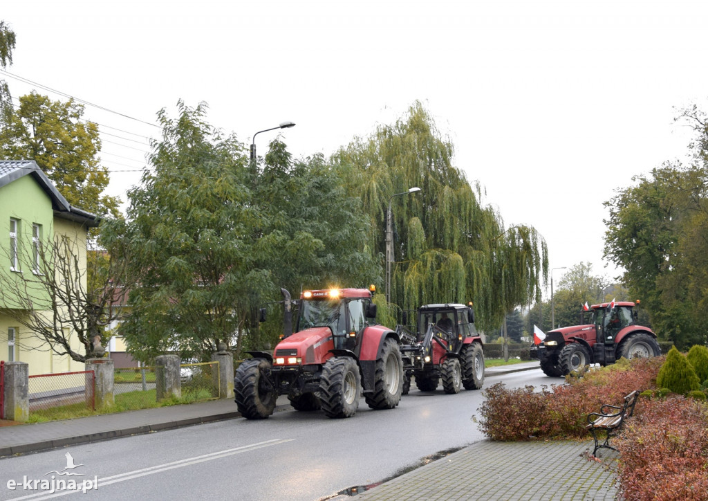 Ciągniki na ulicach Sępólna