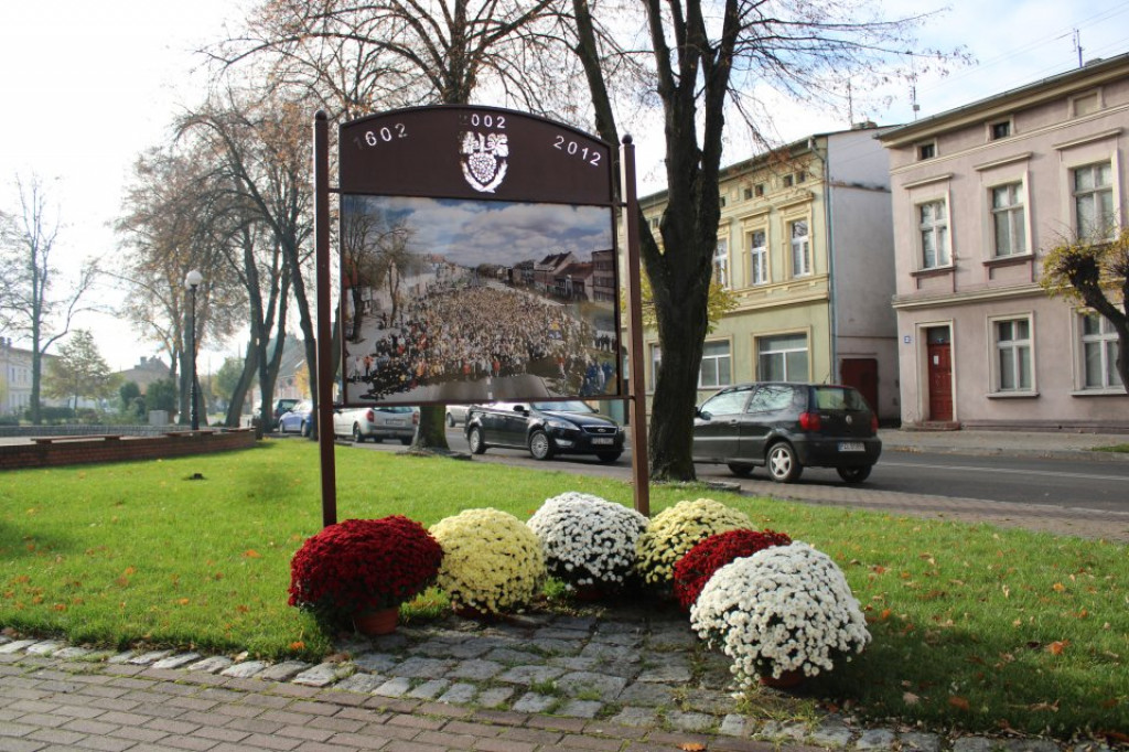 Jastrowie w chryzantemach