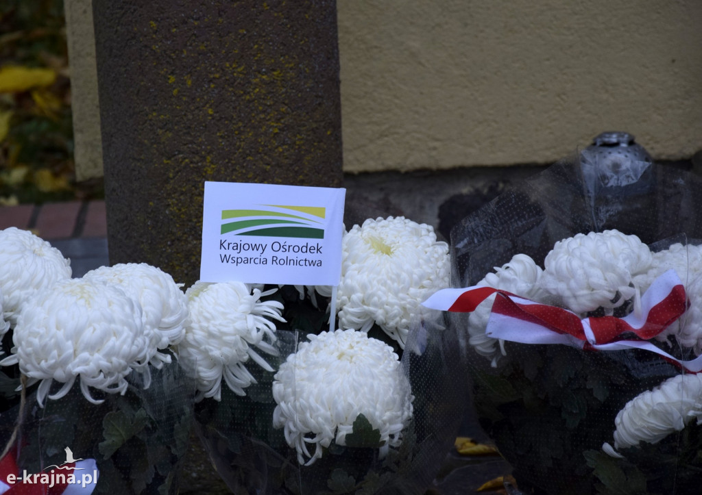 Ogólnopolska akcja Krajowych  Ośrodków Wsparcia Rolnictwa