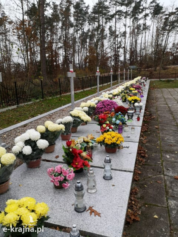 Ogólnopolska akcja Krajowych  Ośrodków Wsparcia Rolnictwa