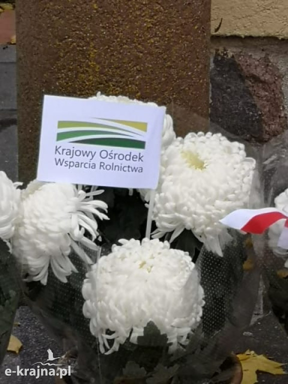 Ogólnopolska akcja Krajowych  Ośrodków Wsparcia Rolnictwa
