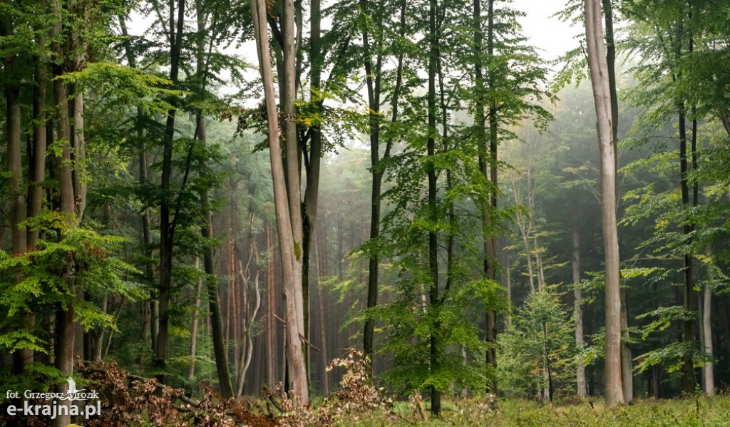 Konkurs fotograficzny KPK  - rozstrzygnięty