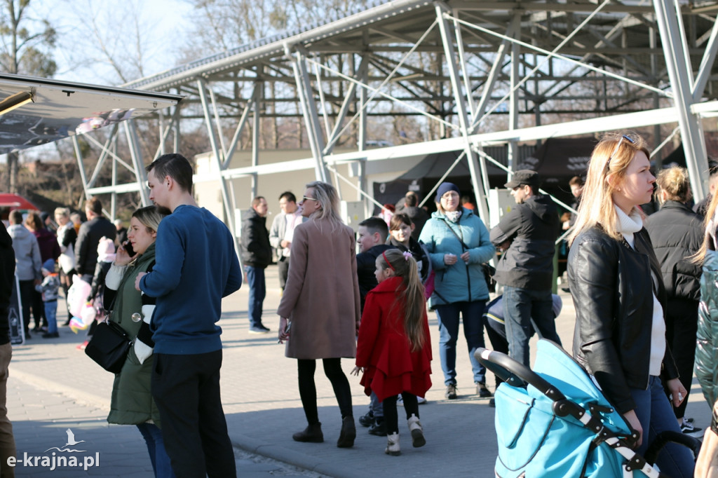 I Festiwal Smaków Food Trucków w Sępólnie Krajeńskim
