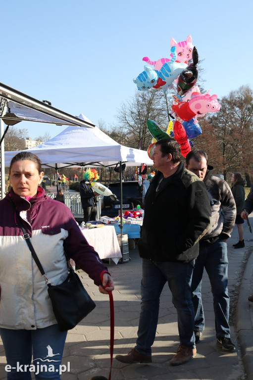 I Festiwal Smaków Food Trucków w Sępólnie Krajeńskim