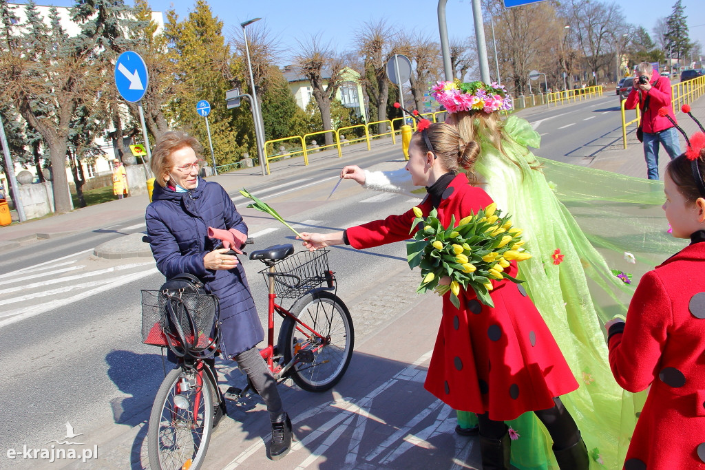Wiosna w Sępólnie Krajeńskim
