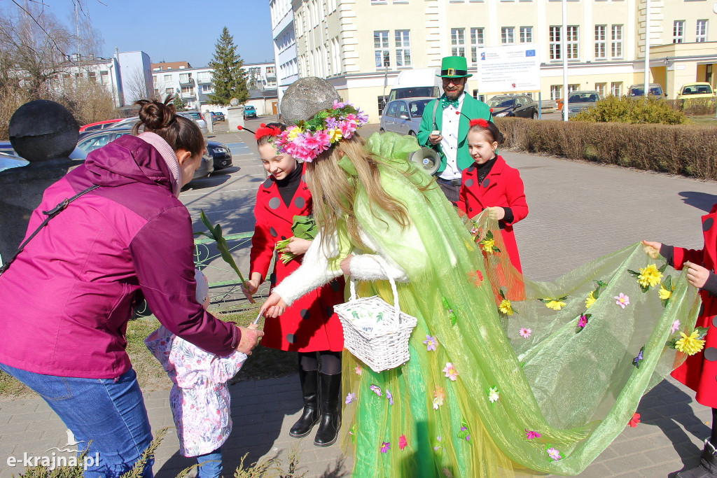Wiosna w Sępólnie Krajeńskim