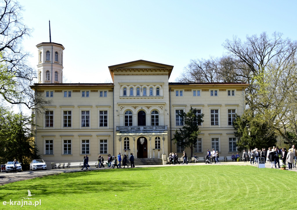 Powiatowe Targi Ogrodniczo Rolnicze w Sypniewie 2022