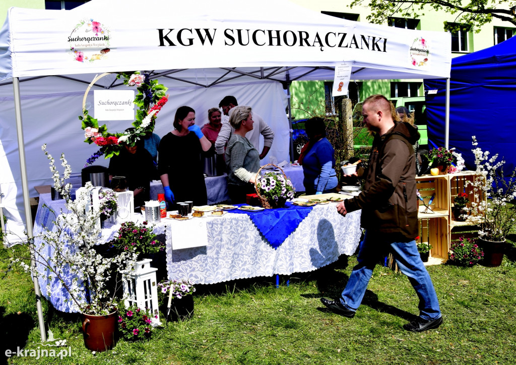 Powiatowe Targi Ogrodniczo Rolnicze w Sypniewie 2022