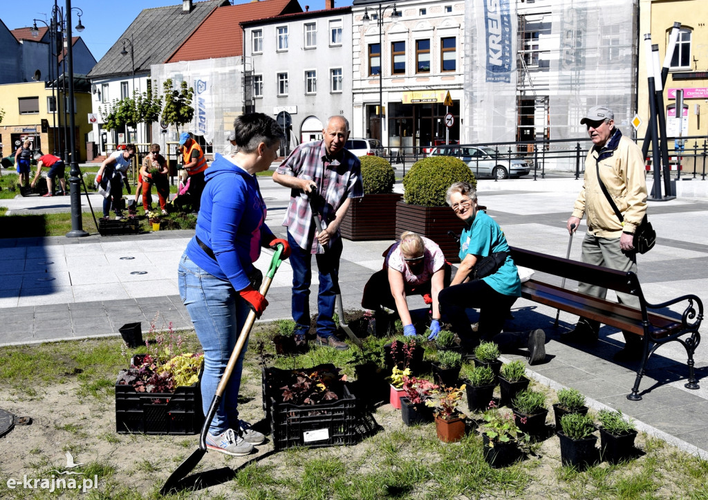 Sępólno: Plac Wolności w nowej kwiecistej sukience