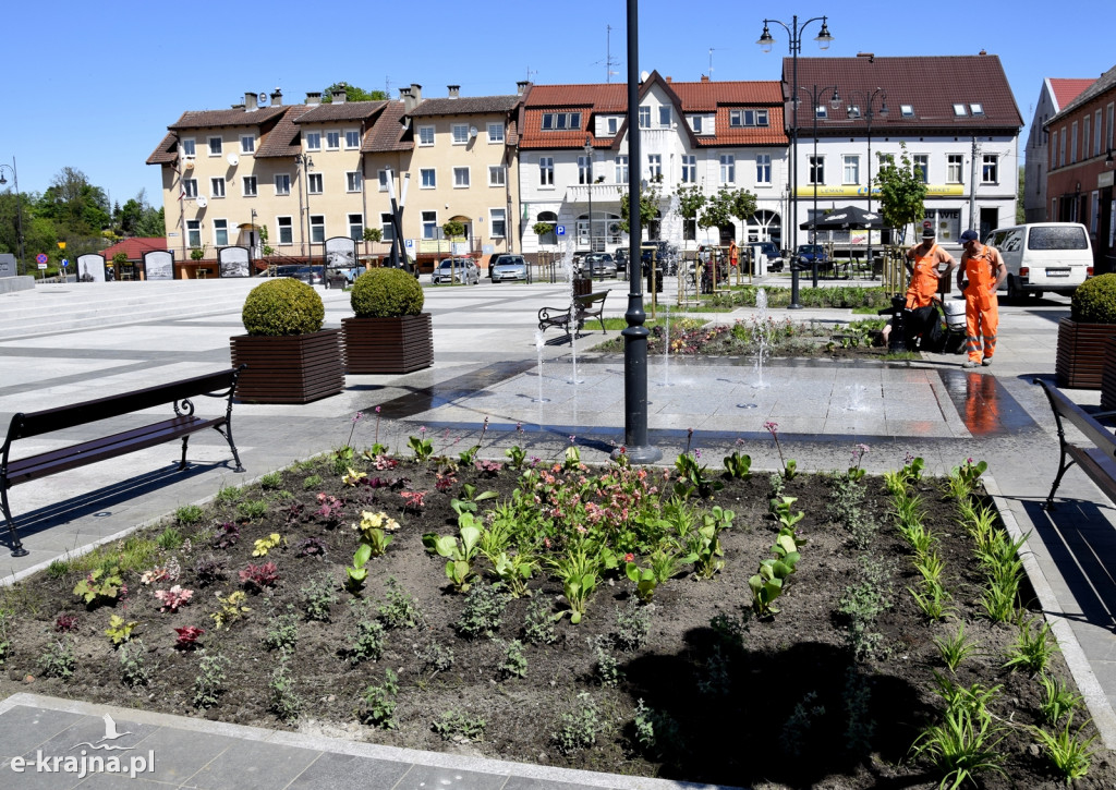 Sępólno: Plac Wolności w nowej kwiecistej sukience